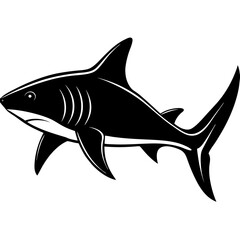 Obraz premium A fierce black and white illustration of a great white shark swimming in the ocean