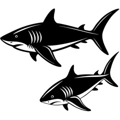 Two Great White Sharks Swimming in the Ocean Depths A Monochrome Illustration