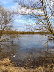 Body of water with a tree in the foreground