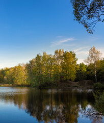 Calm lake with trees in the background