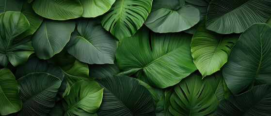 Tropical Leaf-Inspired Gradient with Soft Plant Hues. Lush green tropical leaves create vibrant pattern