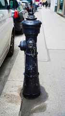 Classic black fire hydrant stands on a city street beside parked cars on a sunny day