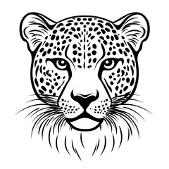 Vector cheetah head portrait, black and white, artistic design, for print