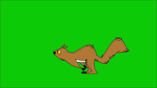 A charming animation of a cream squirrel running in a repetitive motion, against a bright green screen