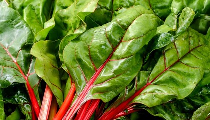 Close-up of fresh Swiss chard, emphasizing its colorful stems and dark green leaves. Ideal for healthy food, salads, or vegetable concepts. Texture, background.