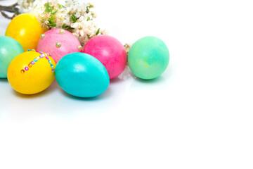 Easter eggs and flower branch on white background