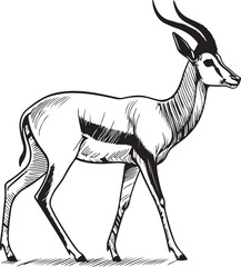 Modern Antelope Line Art Illustration on White