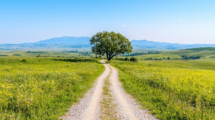 Obraz premium Lonely tree on rural road, mountains background, summer day