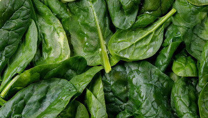 Detailed view of fresh spinach leaves, emphasizing their tender texture and deep green color. Perfect for healthy food, salads, or vegetable concepts. Texture, background.