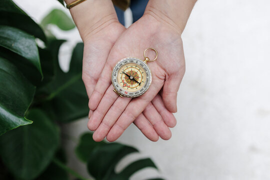 Navigational compass on palm of botanist
