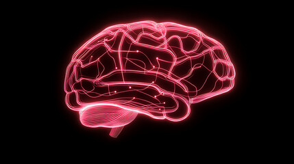 Neon Pink Brain Model Glowing on Black Background Neuroscience and Artificial Intelligence