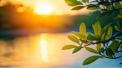 Tranquil Sunset Over Water with Green Leaves in Soft Focus