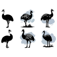 Obraz premium Emu Silhouettes Illustrations