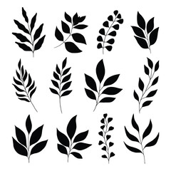 Fototapeta premium Set of branch and leaves vector 