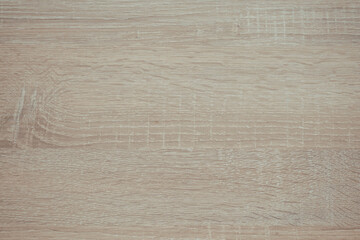 Light wooden surface with grain texture suitable for various design projects