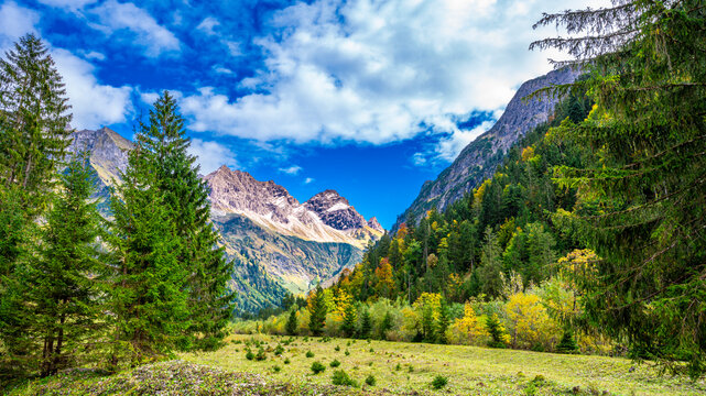 Scenic view of Oytal valley in Oberstdorf, Bavaria, Germany with mountains and forest
