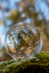 A  transparent crystal ball standing on a tree trunk in the Scandinavian spruce-and pine forest reflecting the beautiful nordic cold nature inside the  ball