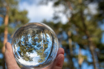 Focus on taking care of nature and the climate shown with a  crystal ball held by a hand in a Scandinavian forest and nordic nature reflected inside the glassball