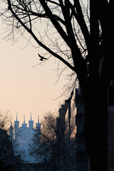 Fourvi&egrave;re Basilica, Lyon (France)