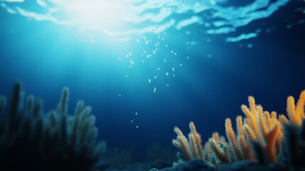 Obraz premium Underwater scene showcasing vibrant coral reefs with bubbles rising in a serene ocean environment