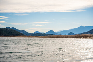 Trees and reeds on River Crnojevica, place near Lake Skadar in Montenegro surrounded by mountain...