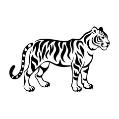 Fototapeta premium High-Quality Black and White Tiger Illustration Vector
