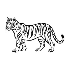 Fototapeta premium High-Quality Black and White Tiger Illustration Vector