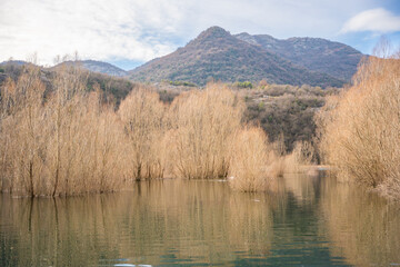 Trees and reeds on River Crnojevica, place near Lake Skadar in Montenegro surrounded by mountain peaks in winter time