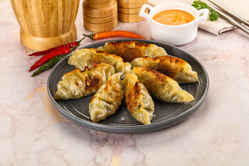 Japanese fried Gyoza stuffed dumplings