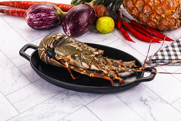 Raw wild fresh spiny lobster