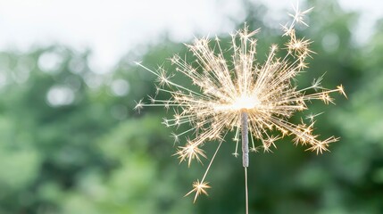 Fototapeta premium Sparkler exploding in green outdoor setting. Possible stock photo use