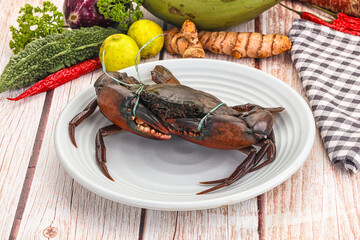 Wild raw crab for cooking