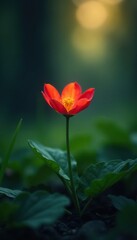 Obraz premium A solitary glowing wildflower in a sea of leaves, nature, floral, glowing
