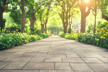 Sunny park path, flowers, trees, walkway, tranquility, nature, background, website