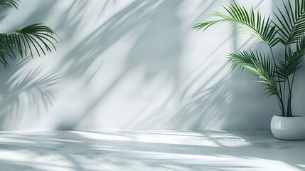 Serene indoor setting with palm plants casting shadows on a minimalist white wall