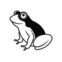frog on a white background