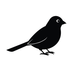 Obraz premium bird on a branch