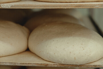 Delicate rounds of dough rising in a warm bakery, embodying the anticipation of freshly baked bread in a rustic kitchen filled with comforting aromas