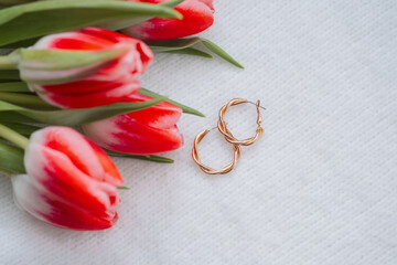 Elegant gold hoop earrings beside fresh red tulips on a soft background