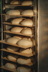Artisan dough ready for baking in a warm, rustic bakery filled with the aroma of freshly leavened bread