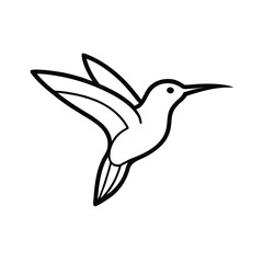 Fototapeta premium hummingbird vector illustration