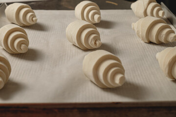 Delicious crescent rolls rising on a baking tray in a cozy kitchen filled with warm aromas of bread and pastry, inviting the joy of homemade baking