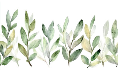 Naklejka premium watercolor olive branch, leaves on white background