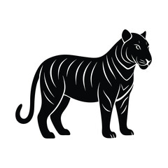 Fototapeta premium zebra isolated on white background