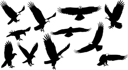 Obraz premium Eagle Vector Illustration Set, Black and White Silhouettes. Collection of 30 Different Eagle Poses, Perfect for Logos, Designs, and More.