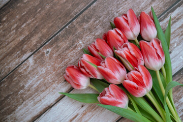 Beautiful red tulips arranged on rustic wooden background for decoration, Place for a text, Happy Mother's Day Background