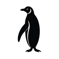 penguin on a white background