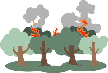 Forest Fires Illustration