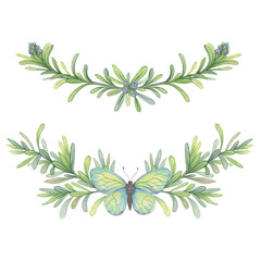 Watercolor composition of Rosemary branches with butterfly. Illustration of springs perfect for decorating packaging of cosmetics, natural products, essential oils, soap and herbal-themed designs