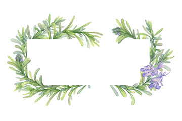 Obraz premium Frame of branches of blooming rosemary. Watercolor illustration of fresh green stems. Composition suitable for decorating covers of cosmetics, essential oils, and other natural products